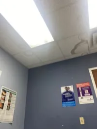 Dr. Rosaura Licea, civil surgeon in Cicero, IL