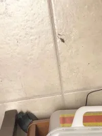 Exterior of Viet Trong Dao, M.D, APMC, immigration medical exam clinic in San Diego, California