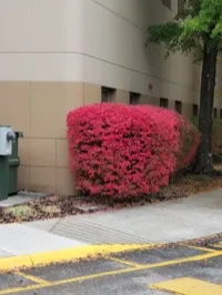 Dr. Kevin Campbell, civil surgeon in Knoxville, TN