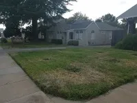 Dr. David Olson, civil surgeon in Oakdale, CA