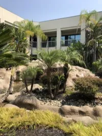 Dr. Ilana Katsnelson, civil surgeon in Roseville, CA